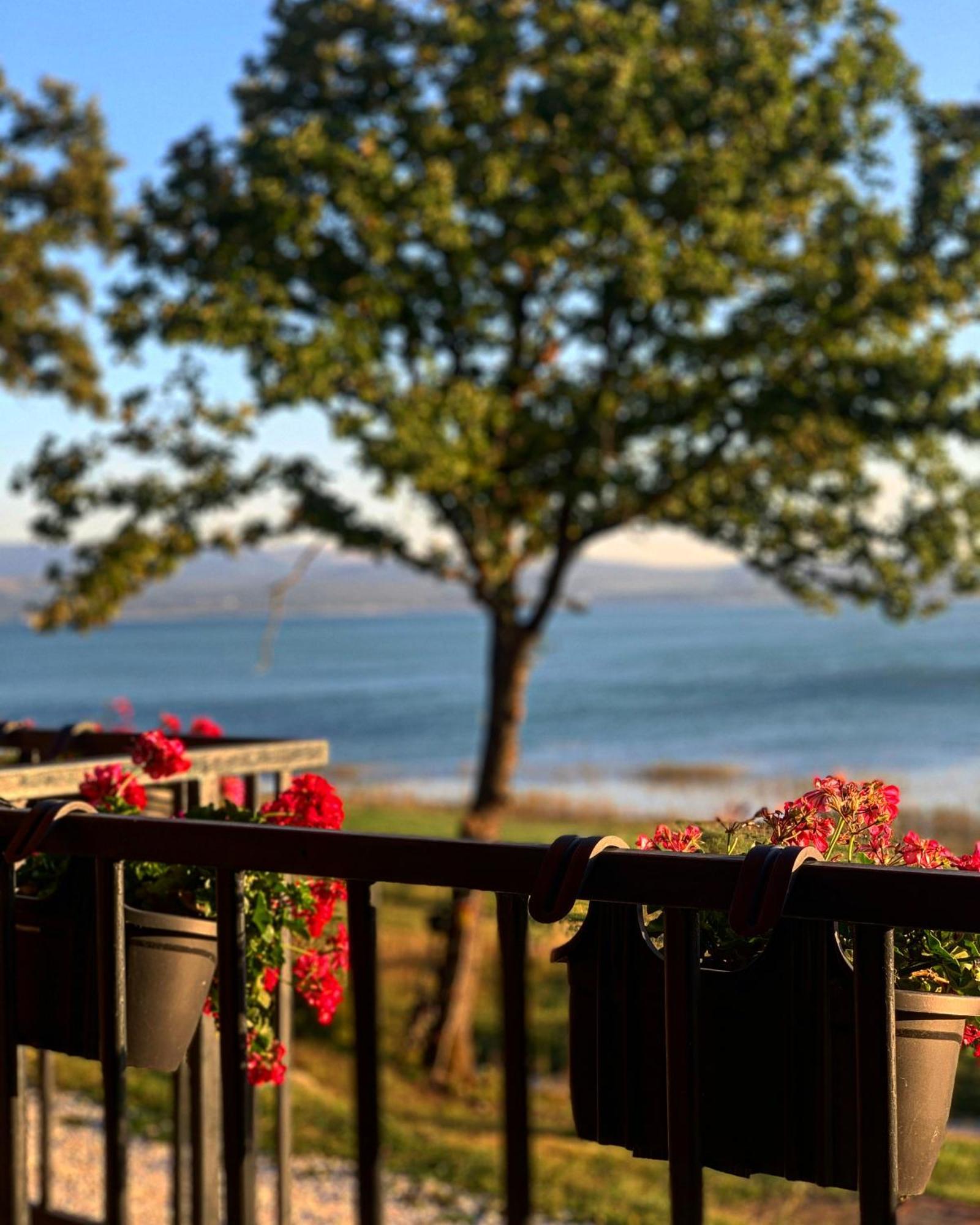 House Beliz Holiday home